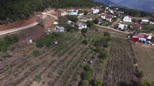 Osmaniye’de oğlunun tavsiyesiyle aronya yetiştirdi, reçelini 400 liradan satıyor