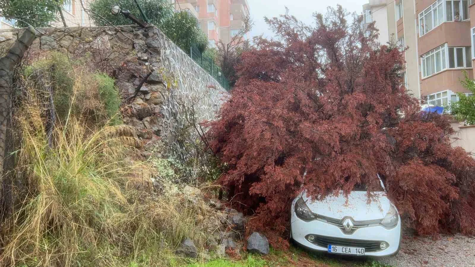 Bursa’da sağanak yağış ağacı devirdi, otomobilin üzerine düştü