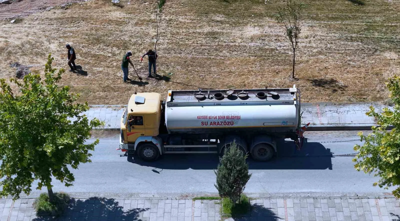 Ömrünü tamamlayan ağaçların yerine yenileri dikiliyor