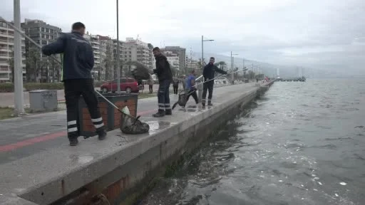 Körfez’de yağmur sonrası yüzey temizliği