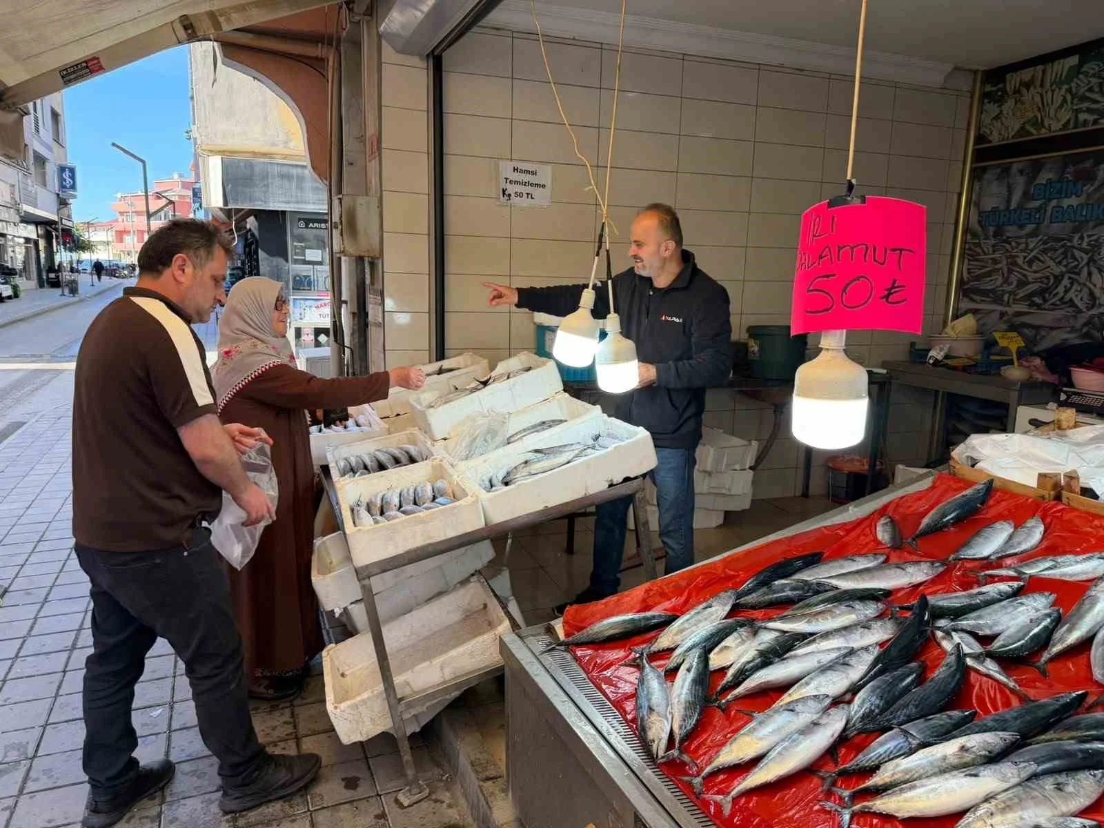 Türkeli’de palamutun adeti 50 liraya düştü