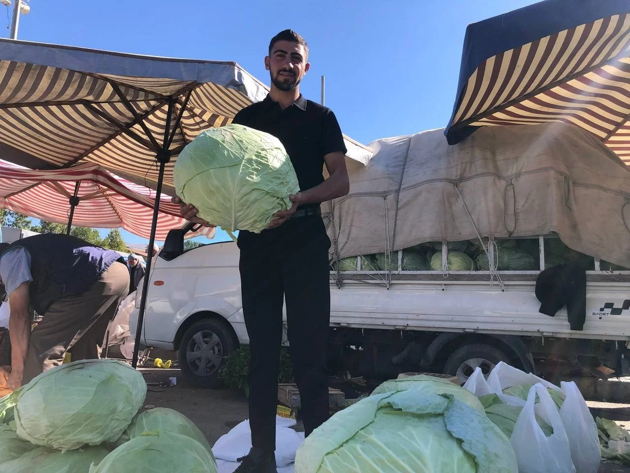Erzincan’da turşuluk ve yemeklik lahanalar tezgahta yerini aldı