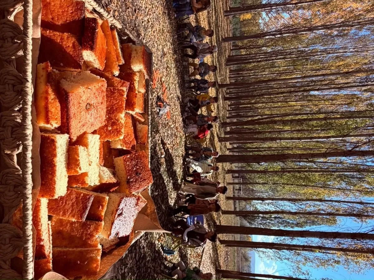 Aydıntepe’de minikler için doğada öğrenme etkinliği düzenlendi