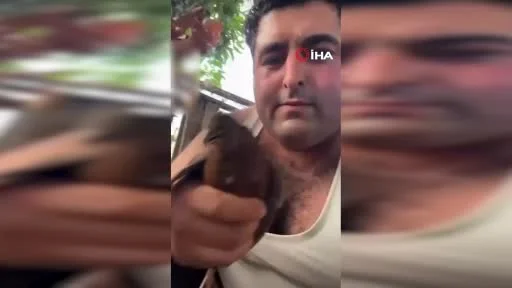 Alanya’da kuşlara vahşet uygulayan şüpheli tutuklandı