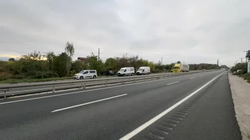 Hafif ticari araca ve ağaca çarptı, yaralıyı bırakıp kaçtı