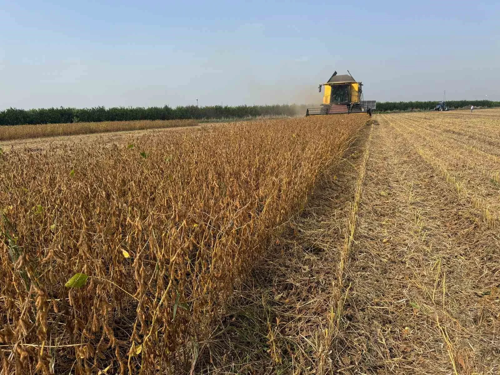 Adana’da soya hasadında biçerdöver ücretleri belirlendi