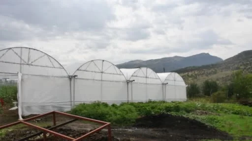Devletten aldıkları yüzde 50 hibe ile ailelerin kurduğu seralar gelir kaynakları oldu