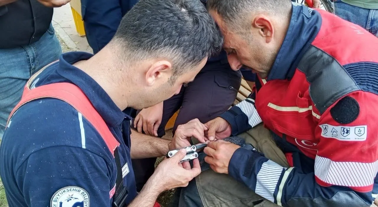 İskenderun’da ağaca takılan güvercin itfaiye ekiplerince kurtarıldı
