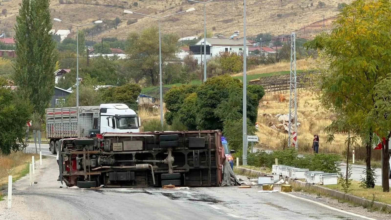 Malatya’da arı yüklü kamyon devrildi: 2 yaralı