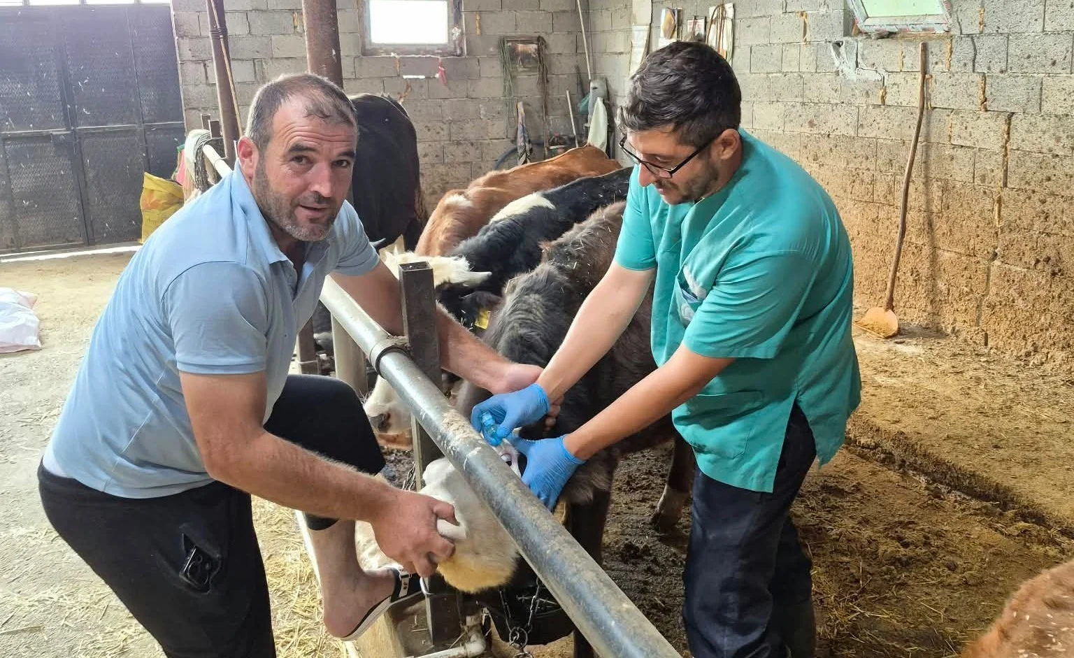 Beyşehir’de şap aşısı mesaisi sürüyor