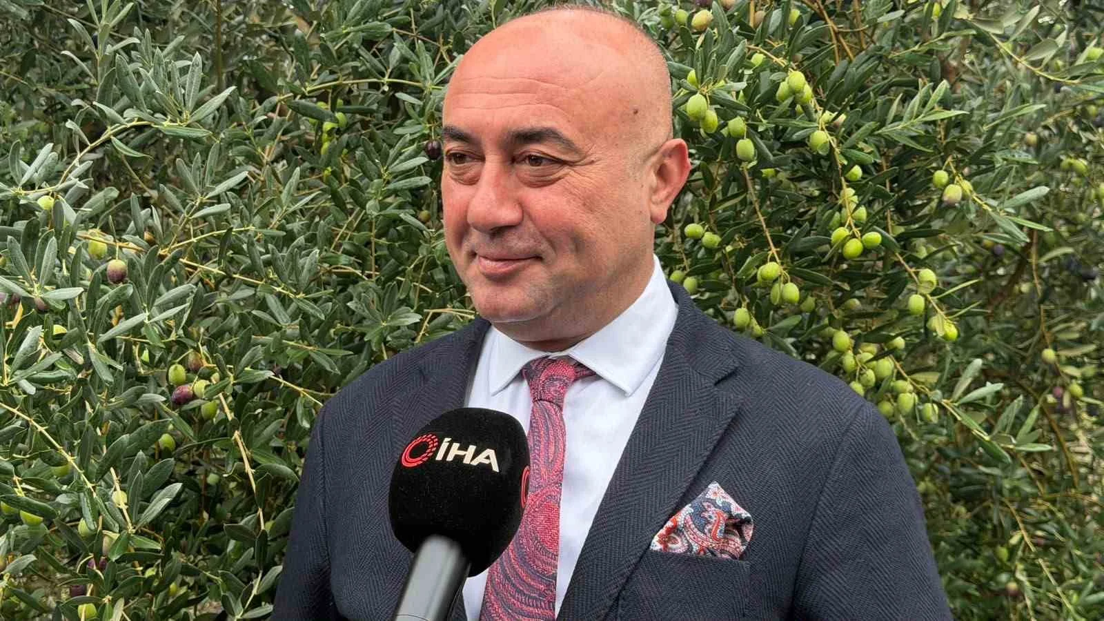 Marmarabirlik’ten 60 bin tonluk alım planı...Türkiye’de zeytinde rekor rekolte beklentisi