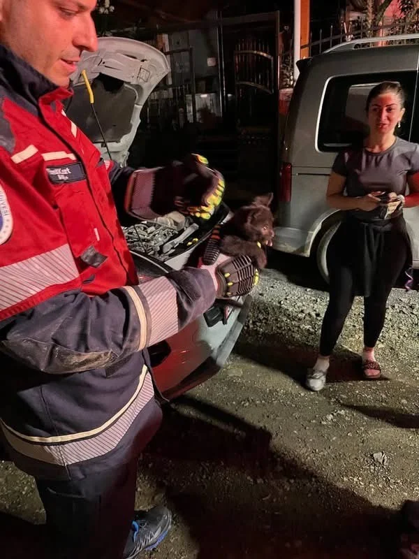 Arsuz’da aracın motoruna sıkışan kedi kurtarıldı