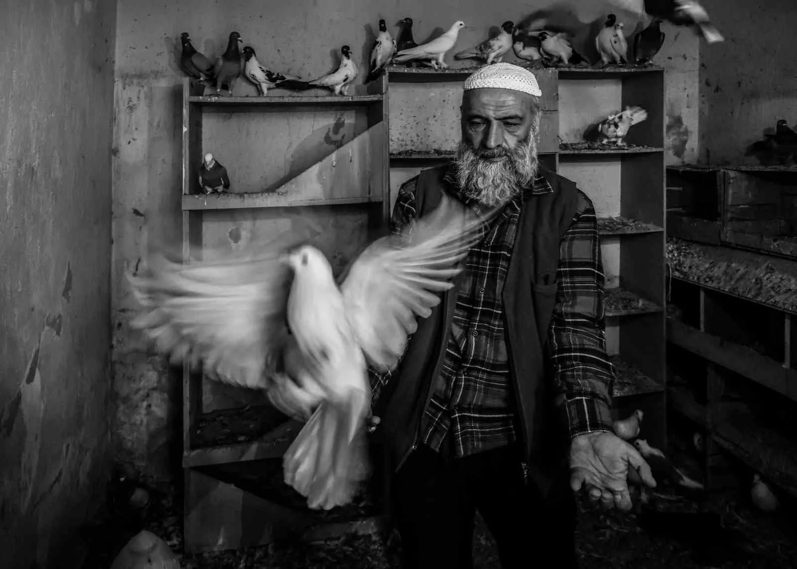 Ara Güler’in izinde Manisa imzası