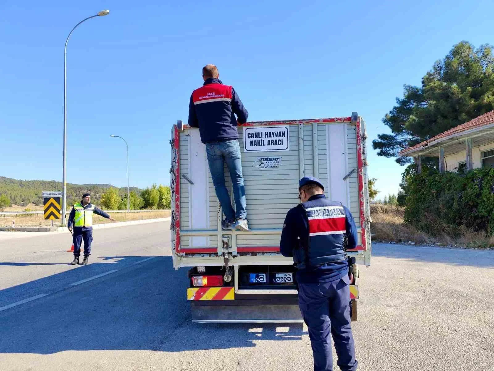 Canlı hayvan nakline yönelik denetimler sürüyor