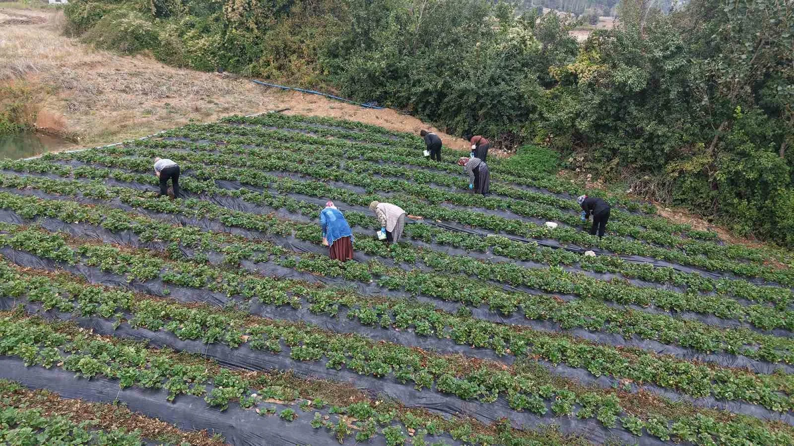 Kadınların emeği Kahraman Kadın Platformu’yla geniş kitlelere ulaşıyor