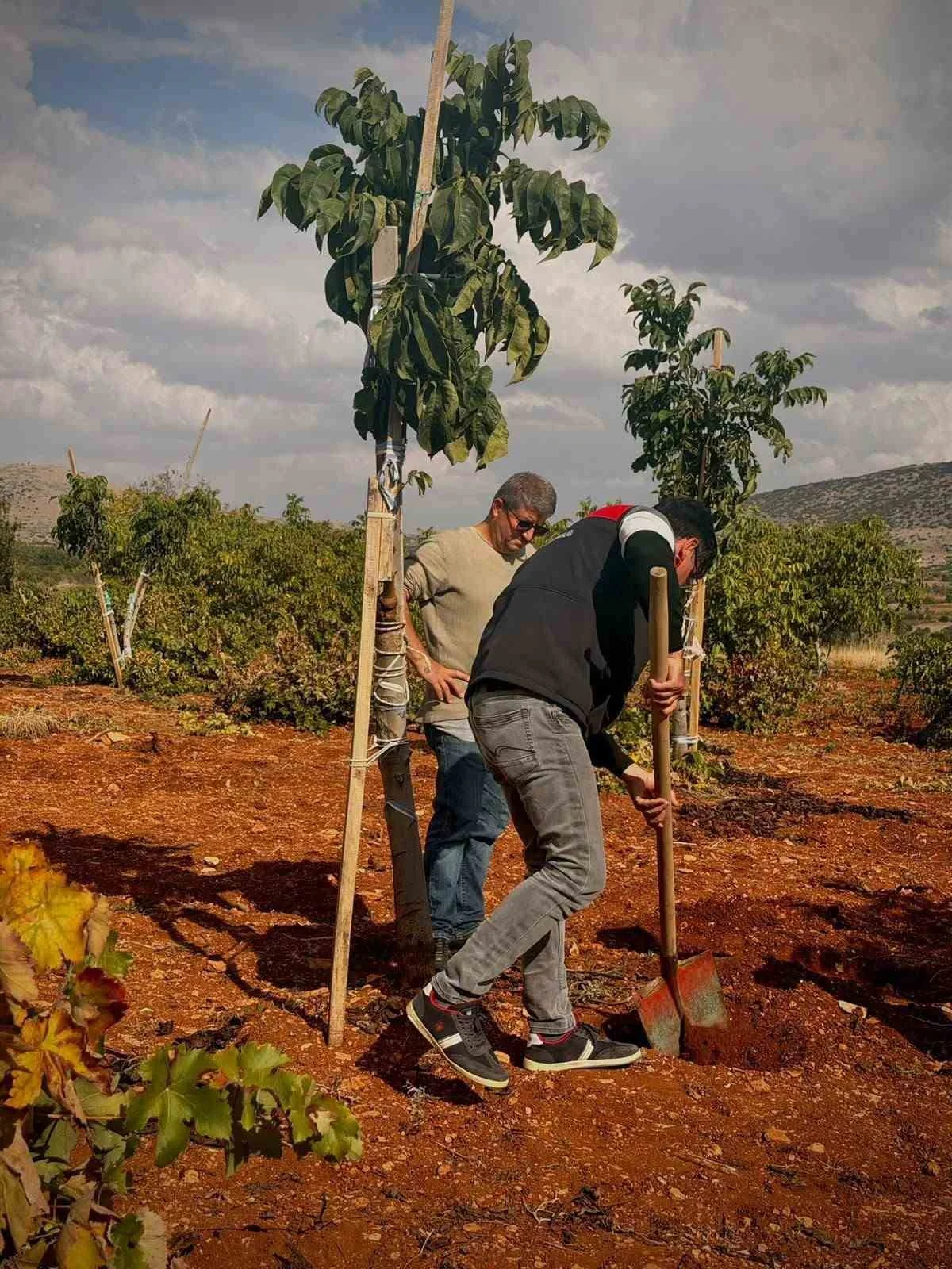 Bekilli’de üreticilere toprak analizi eğitimi verildi