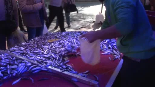 Eskişehirli balıkçıdan dondurucu uyarısı: "Balık bolluğu sürerken stok yapın"