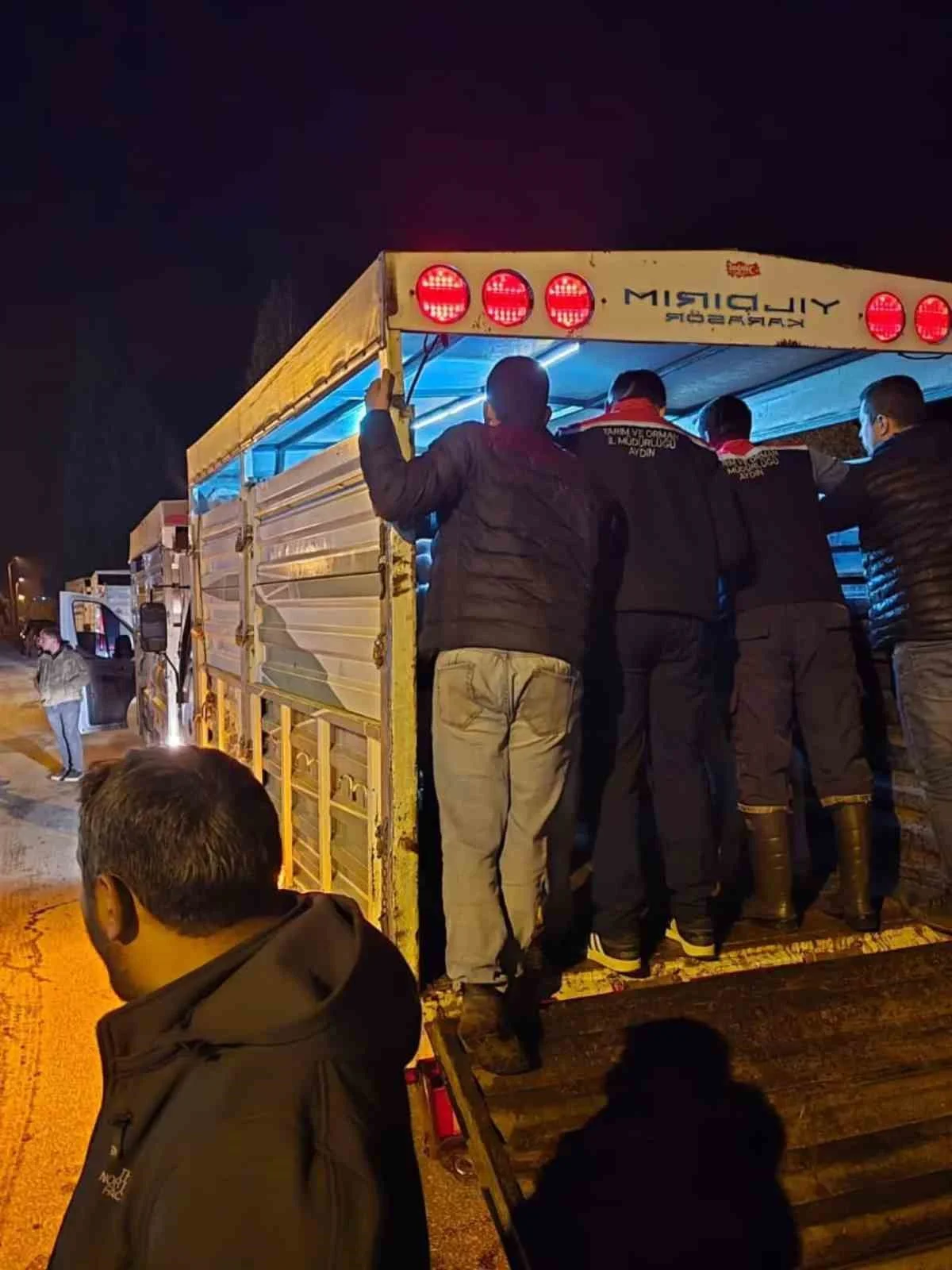 Çine Hayvan Pazarı denetimlerle yeniden açıldı