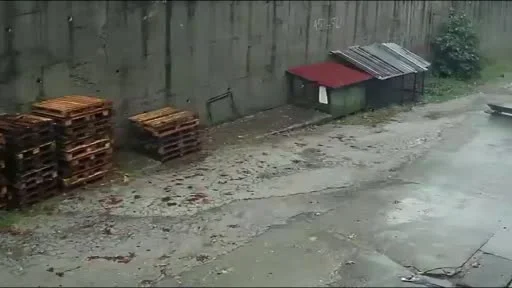 Zonguldak’ta istinat duvarının çöktüğü anlar kamerada: Köpekler telef oldu, 2 araç enkaz altında kaldı
