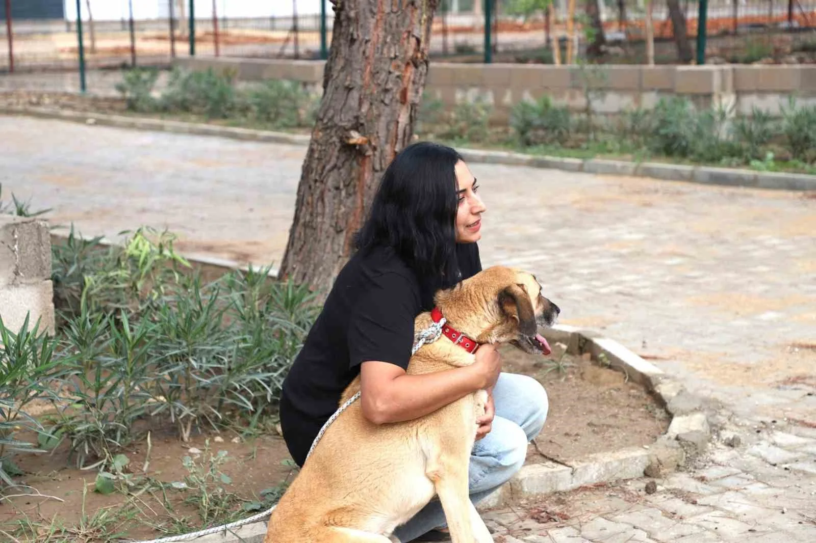 Çilek ve Duman, 8 arkadaşıyla birlikte yeni yuvalarına kavuştu