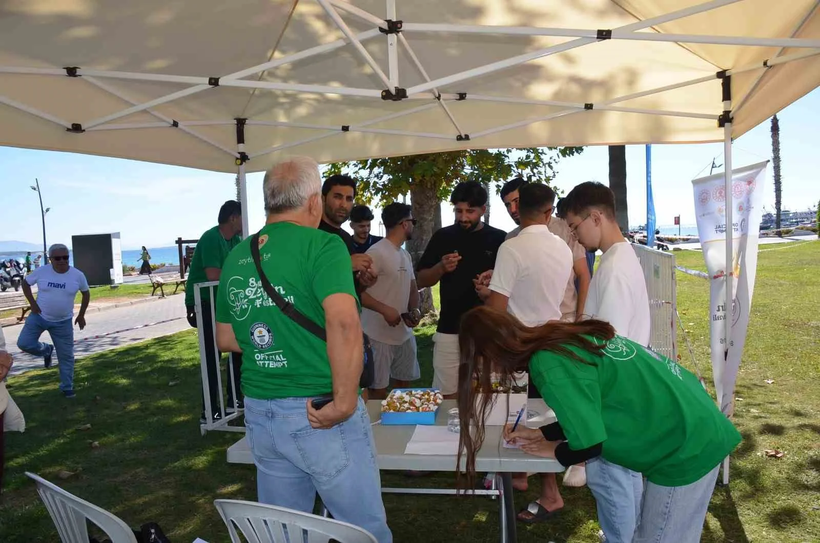Didim Zeytin Festivali başladı