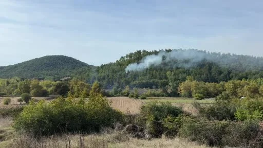 Tarım arazisinde başlayarak ormana sıçrayan yangın kontrol altına alındı