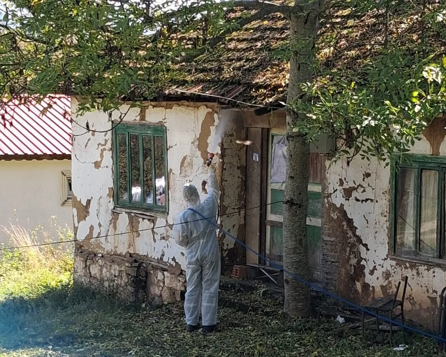Düzce’de kahverengi kokarcaya karşı kışlak mücadelesi başladı