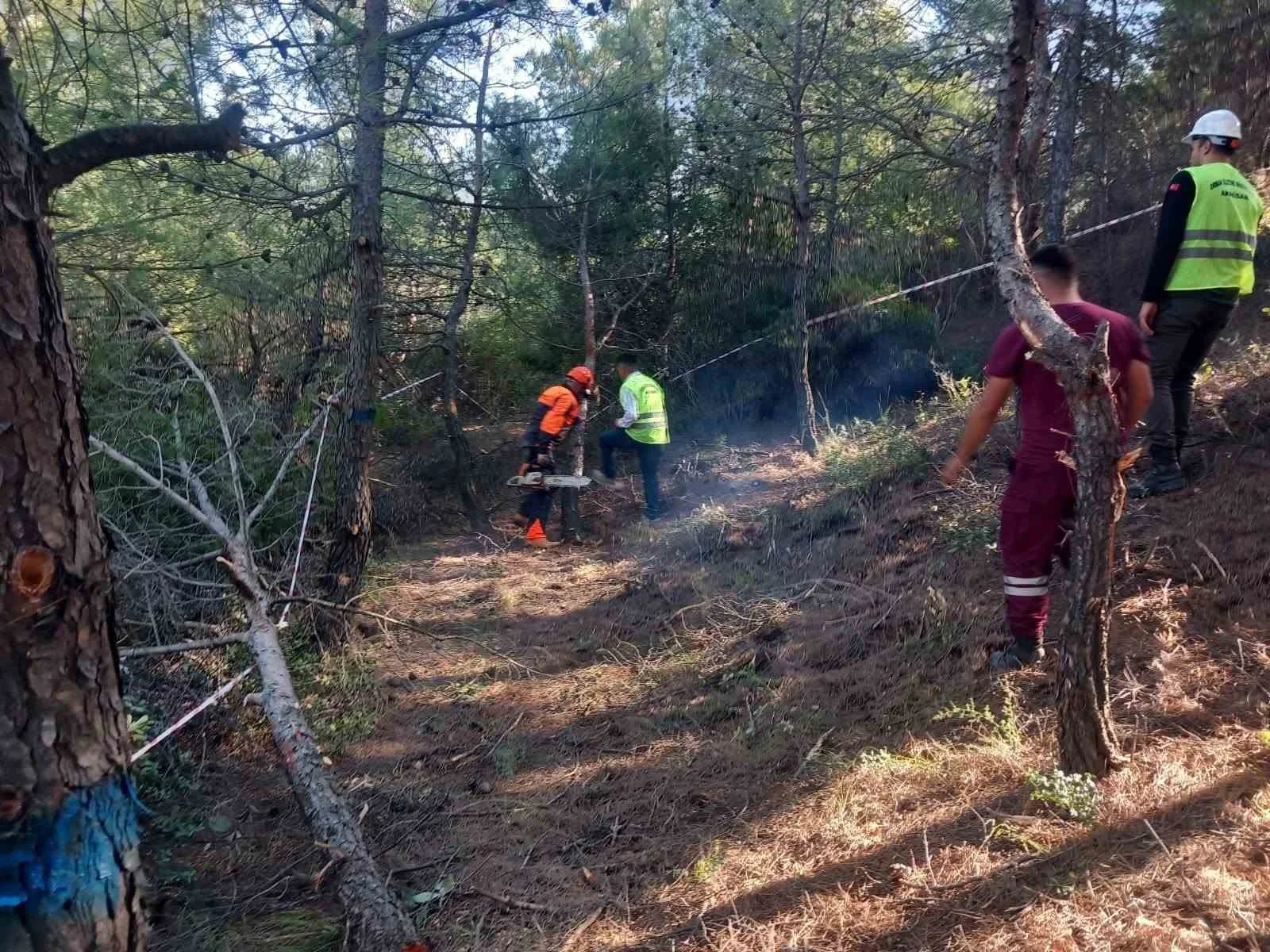 Akhisar’da ormanların geleceği için sahada eğitim