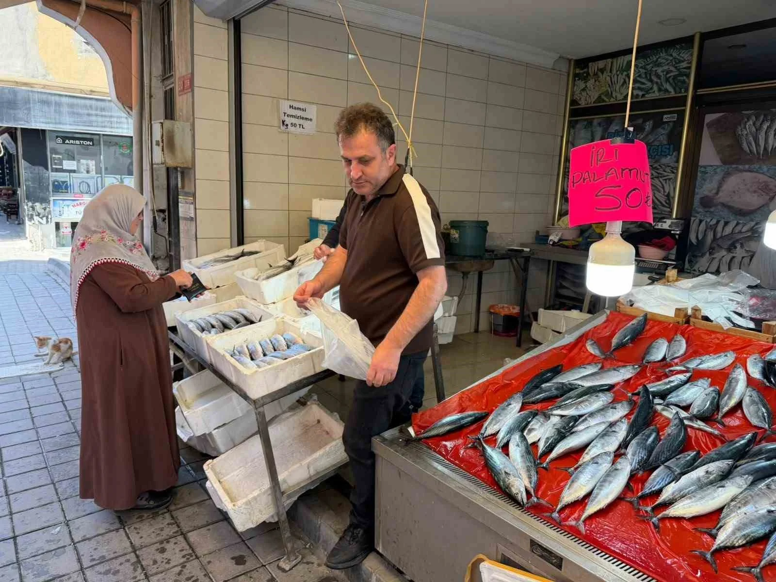 Türkeli’de palamutun adeti 50 liraya düştü