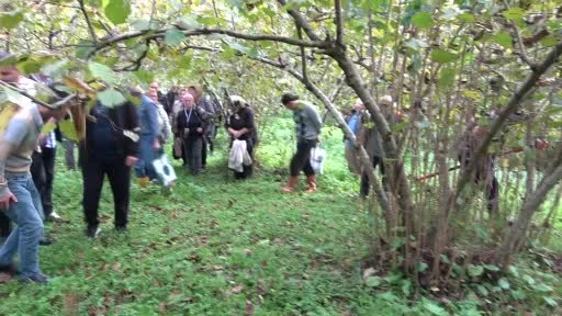 Giresun’da fındıkta verimi artırmak için uygulamalı budama eğitimi veriliyor