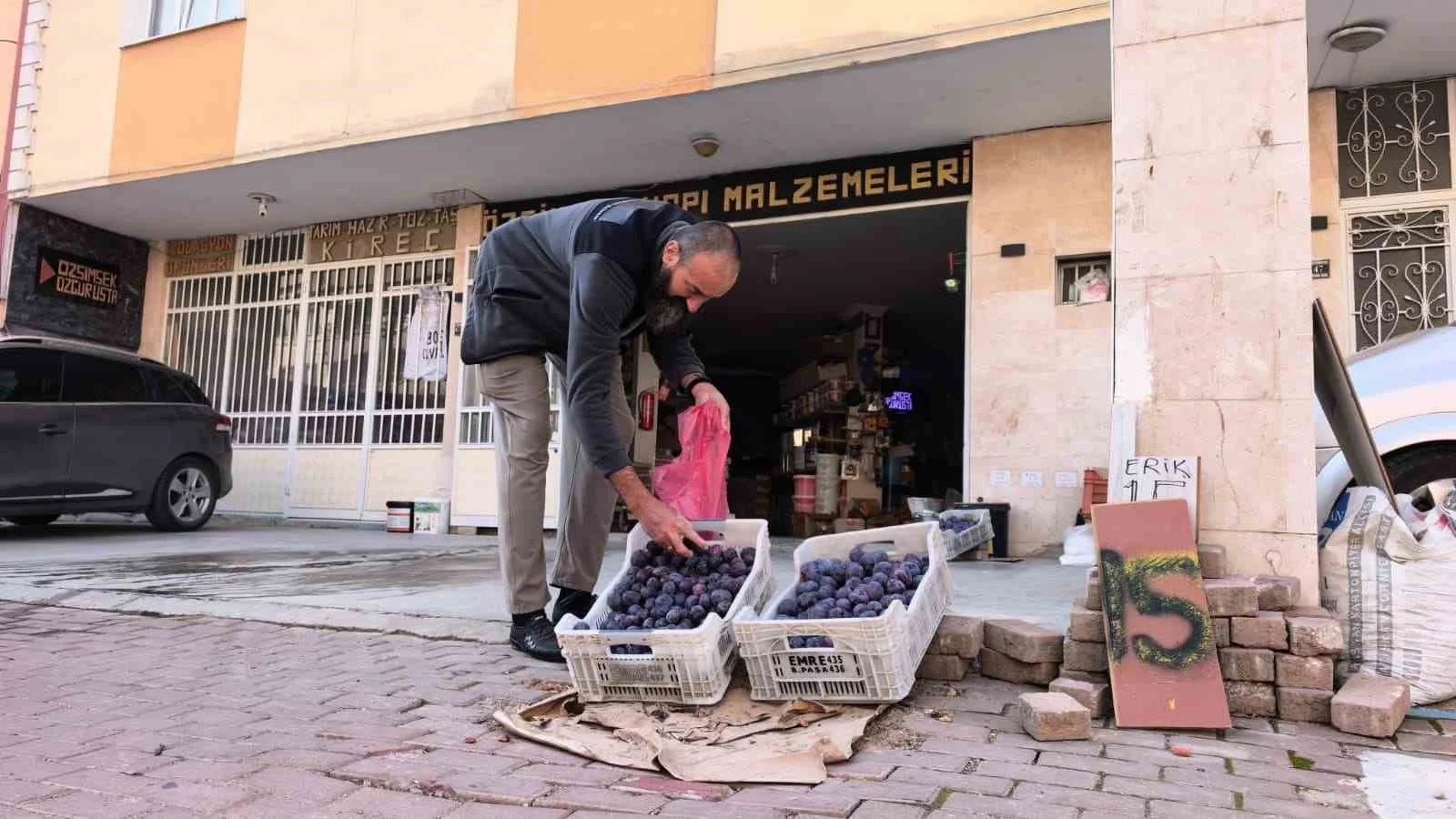 Bursalı çiftçi erikleri dalında bırakmadı, çöpe atmadı fenomen oldu