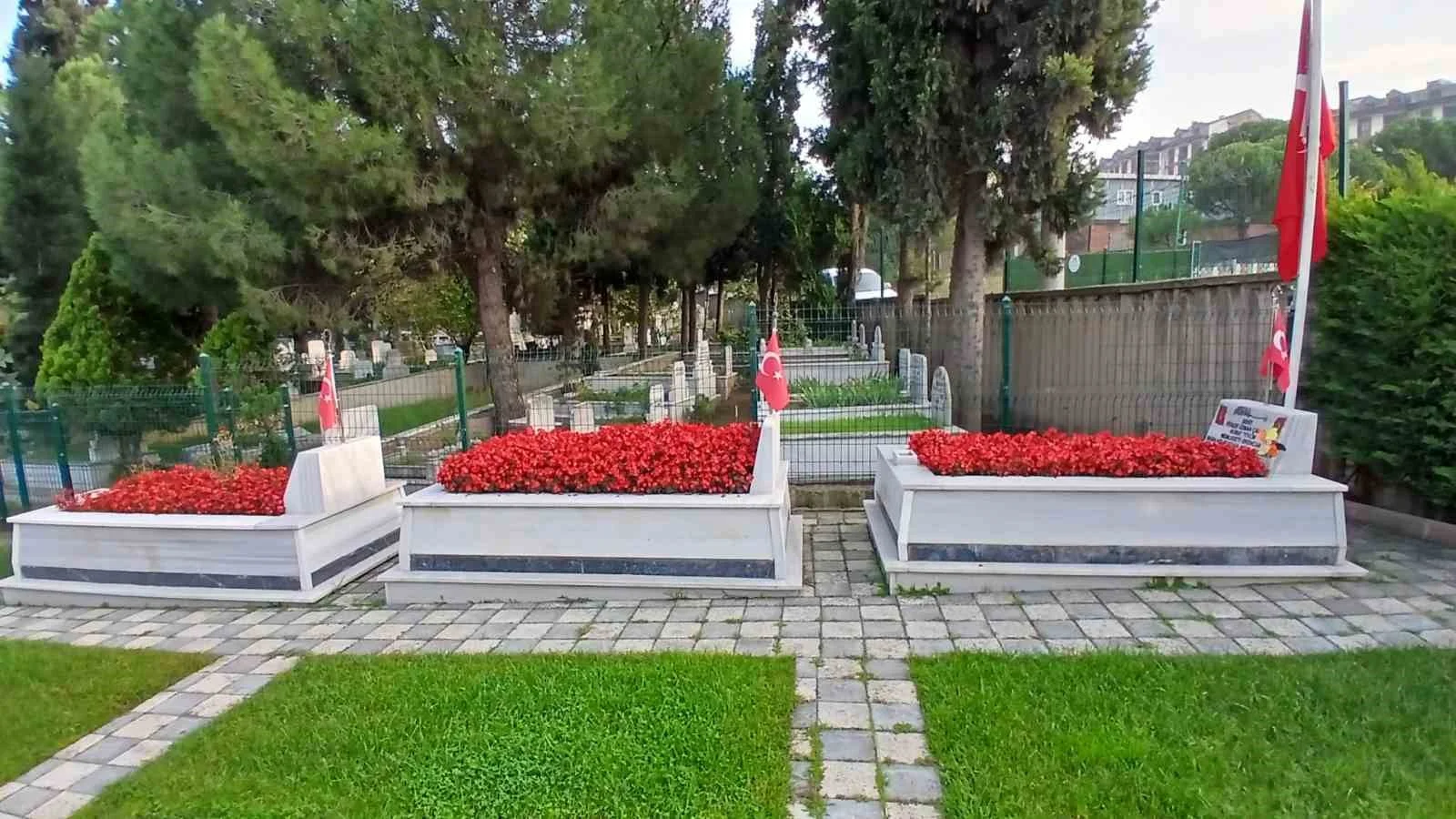 Darıca’da yeşil alanlar mevsimlik çiçeklerle renkleniyor