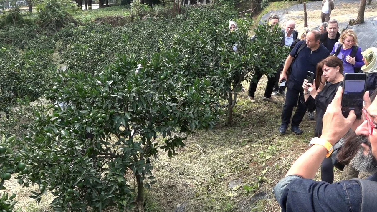 Rize gastronomisi sofradan sağlığa yeni bir hikâye yazıyor