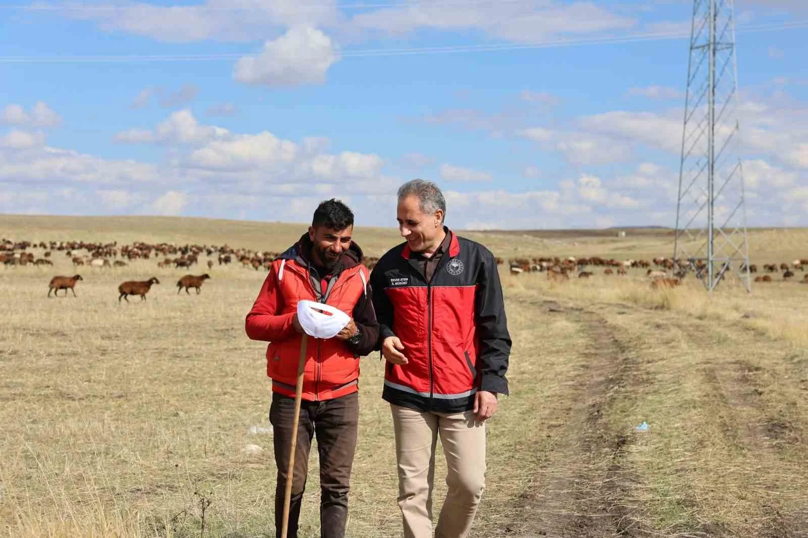 Kars’ta çobanlar sürülerinin başında alın teri döküyor