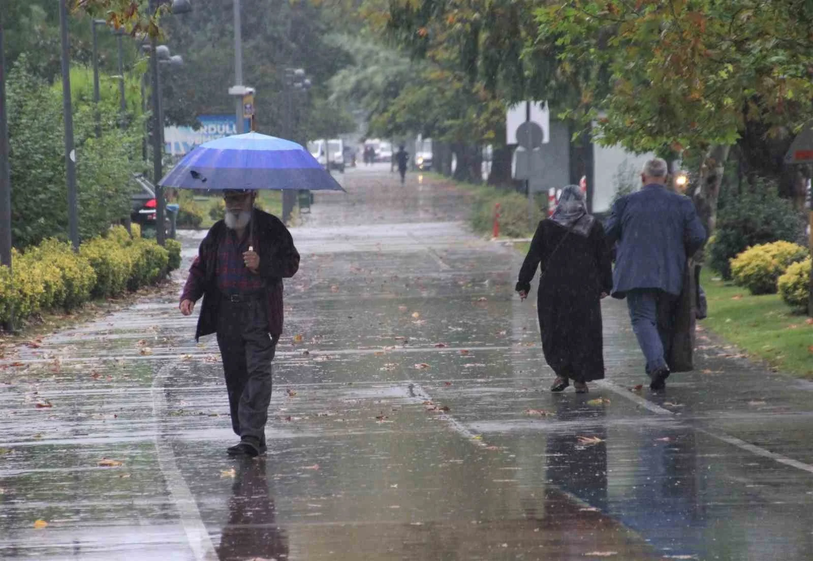 Ordu’da sağanak