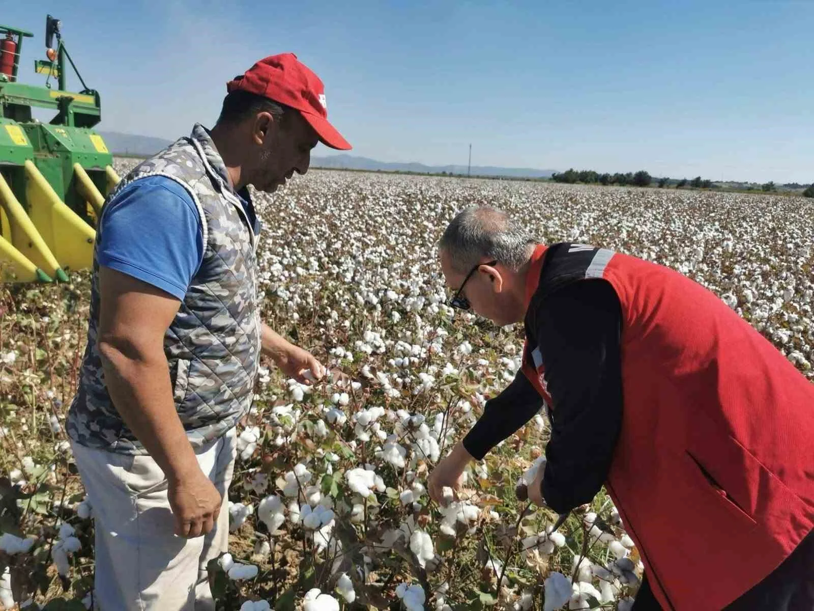 Saruhanlı’da beyaz altın mesaisi başladı