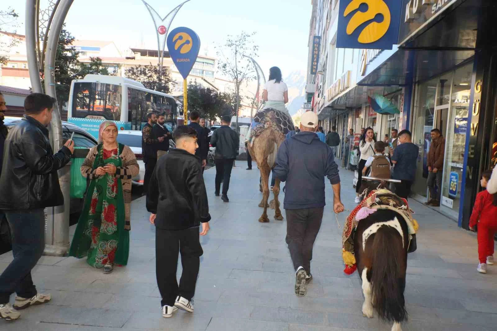 Hakkari’de deve ve midilli atları ilgi odağı oldu