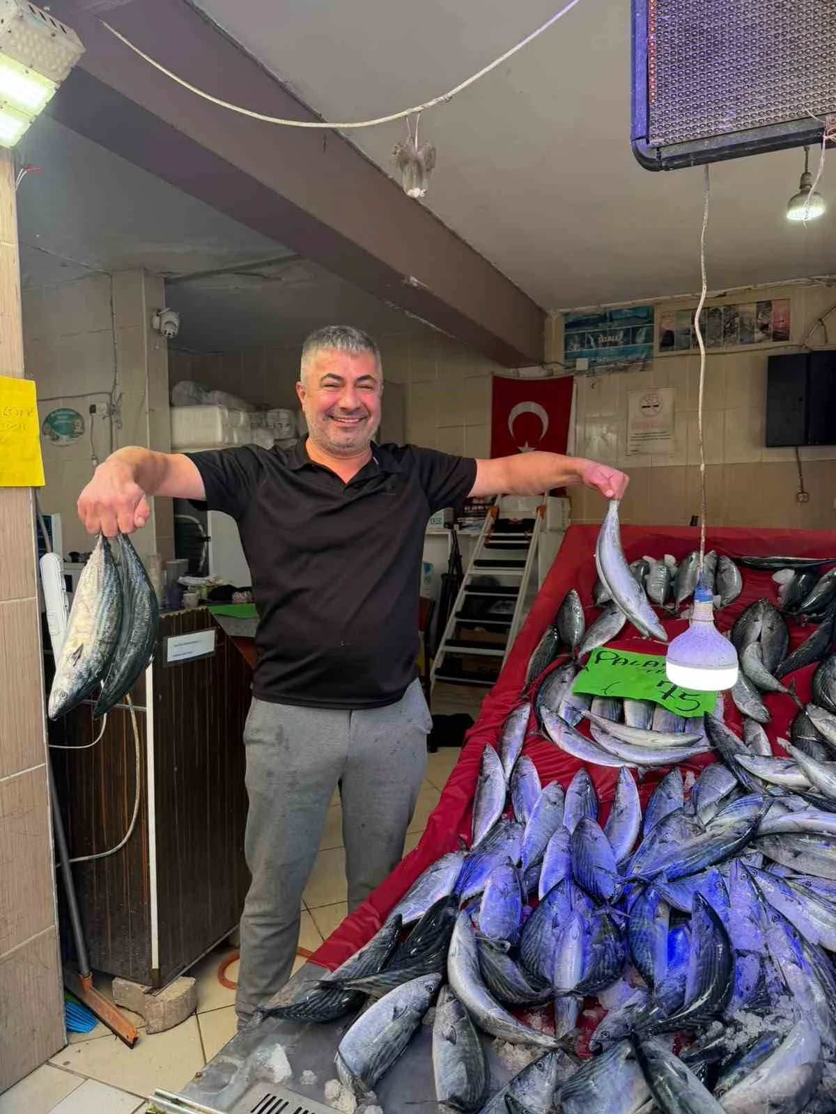 Türkeli’de palamut bereketi: Fiyatı düştü, yüzler güldü