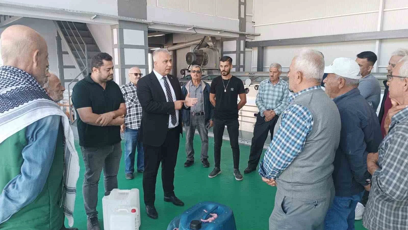 Hatay’da kaliteli zeytinyağı üretimi için hasat uyarısı