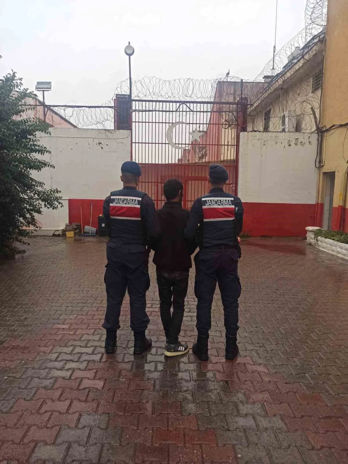 Koçarlı’da çaldığı büyükbaş hayvanları satan şüpheli tutuklandı