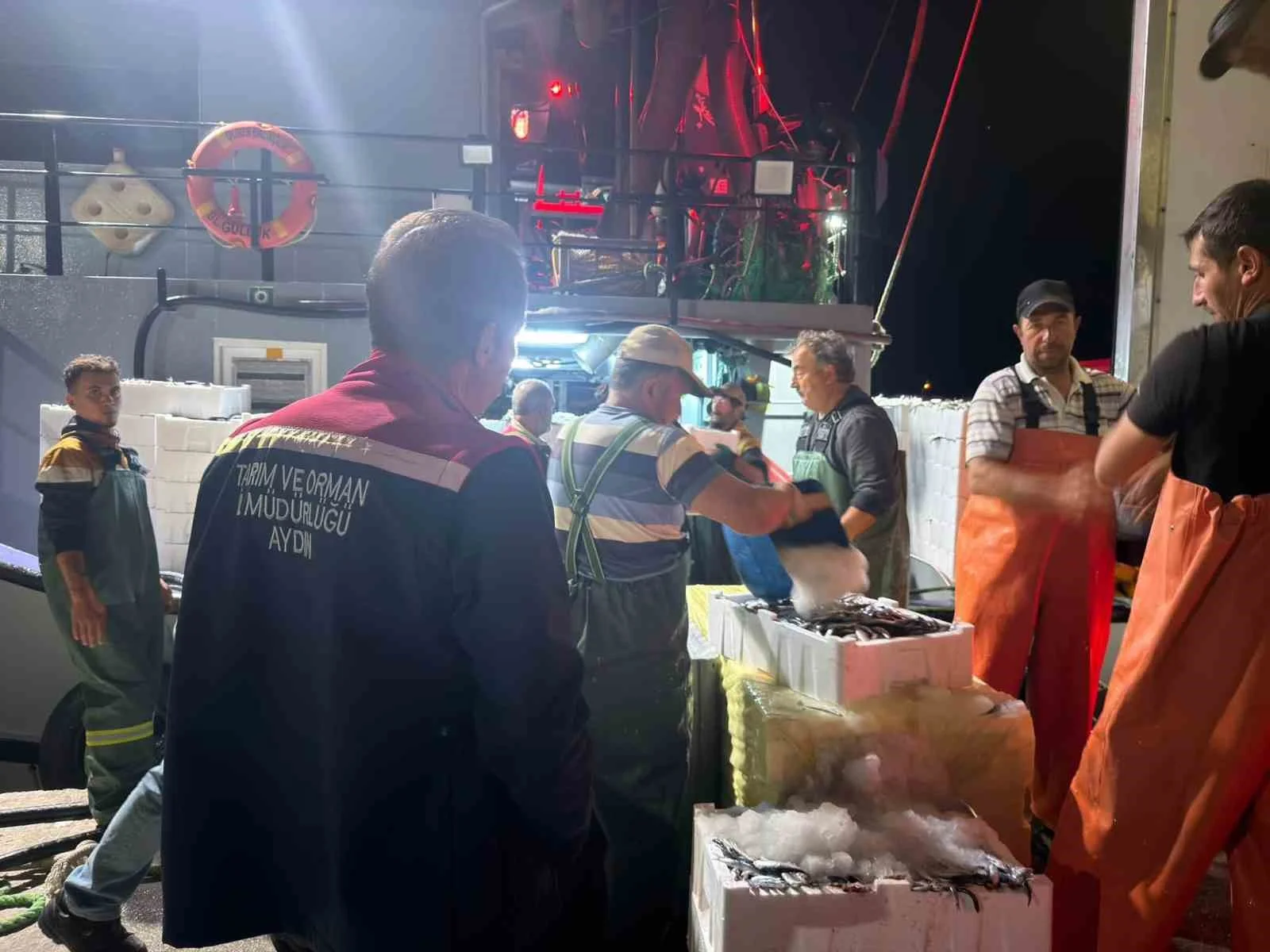 Didim’de ‘Hamsi Kotası’ denetimi yapıldı