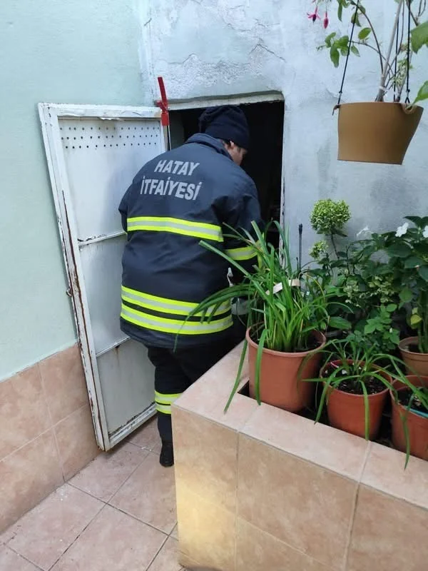 Hatay’da yerleşim yerlerinde görülen yılanlar yakalanarak doğal yaşam alanlarına bırakıldılar