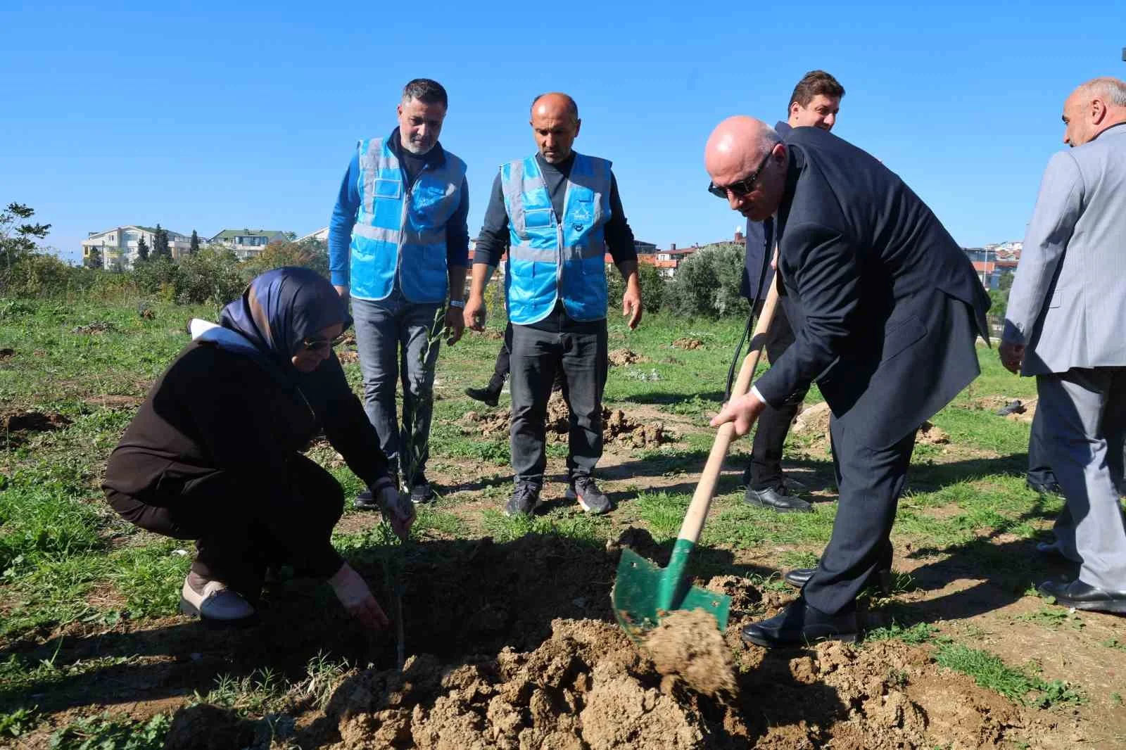 Darıca’da Zeytin Festivali kapsamında 100 fidan dikildi