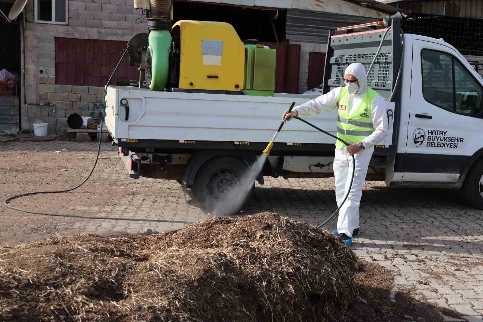 Hatay’da şap hastalığına karşı karasinek mücadelesi sürüyor