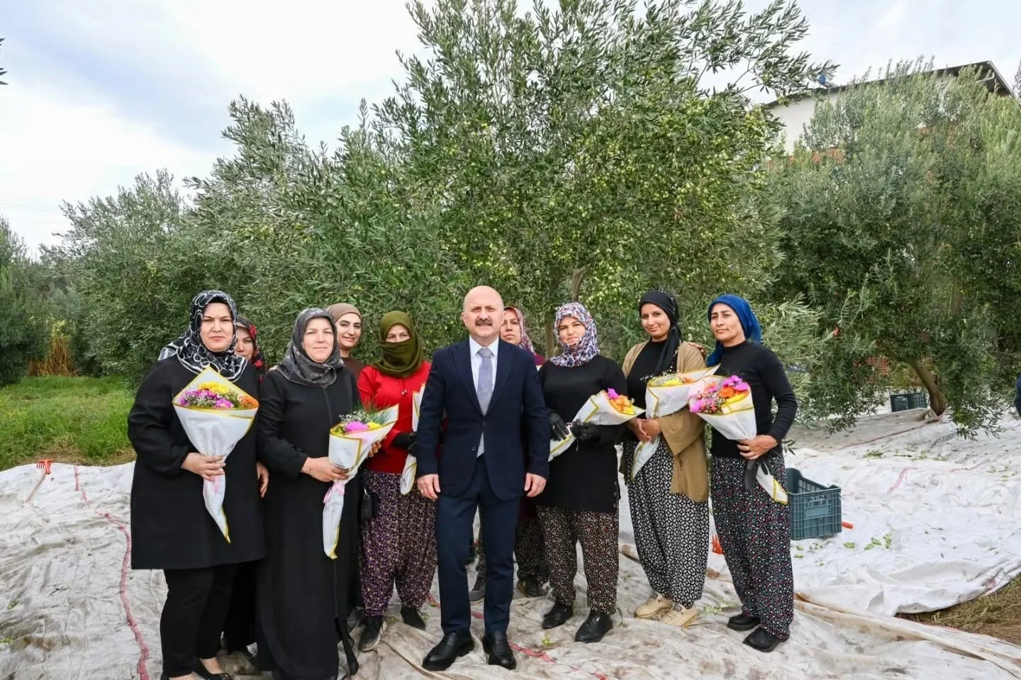Aydın Valisi Varol, kadın çiftçilerle zeytin topladı