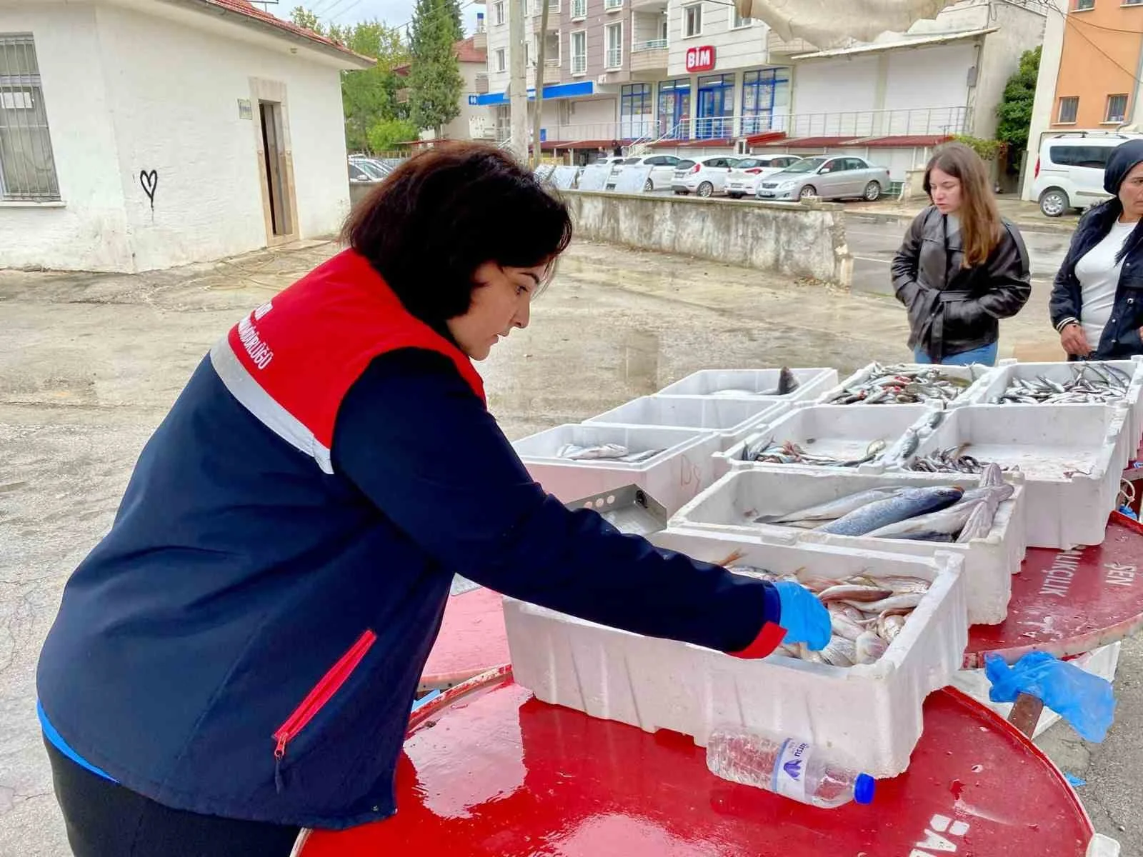 Dazkırı’da balık satış noktalarına denetim