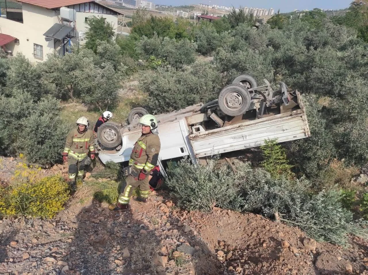Zeytinliğe uçan kamyonetin sürücüsü yaralandı