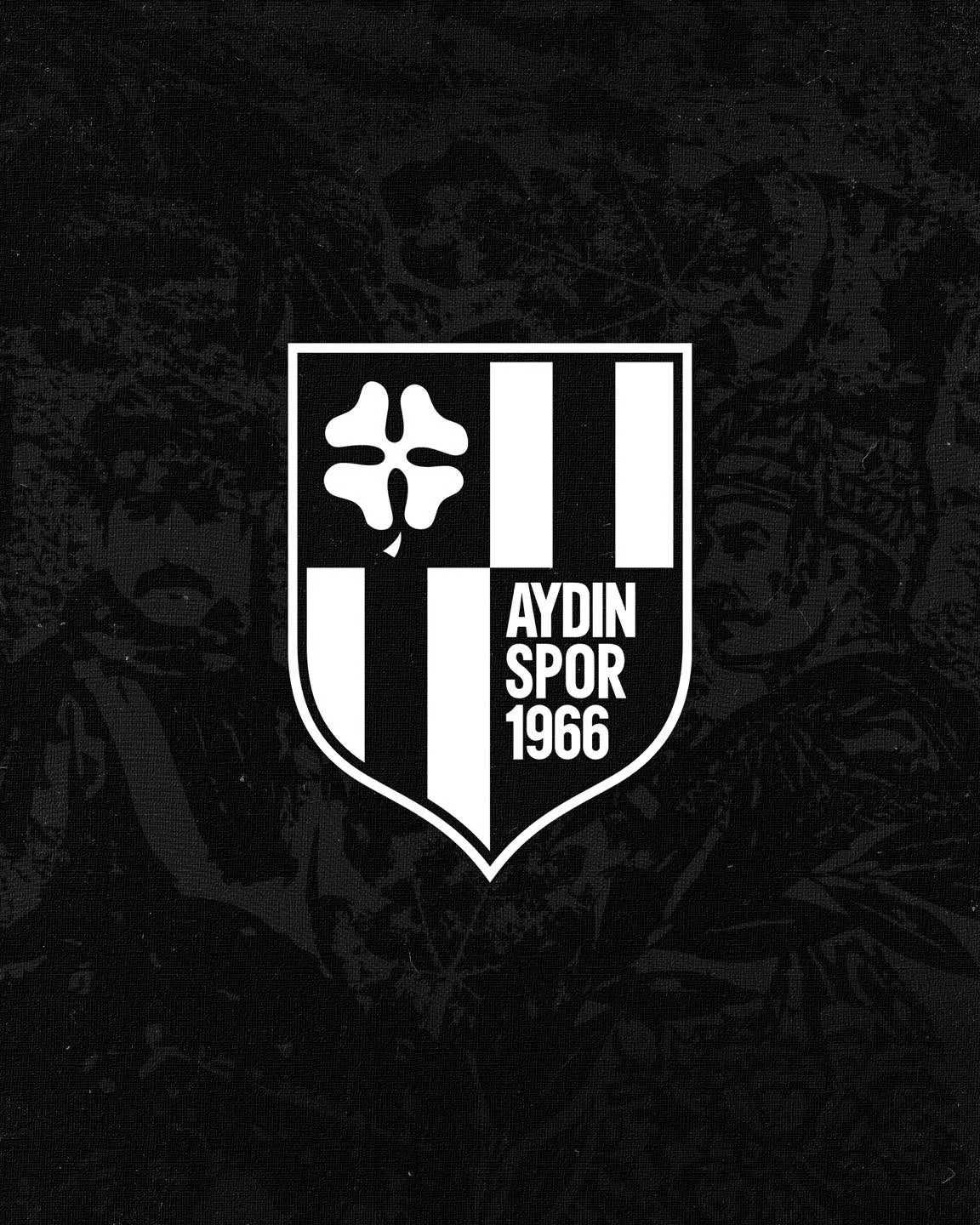 Aydınspor, bu sezon liglere katılmayacak